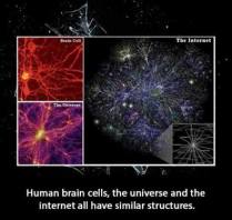 universe internet brain